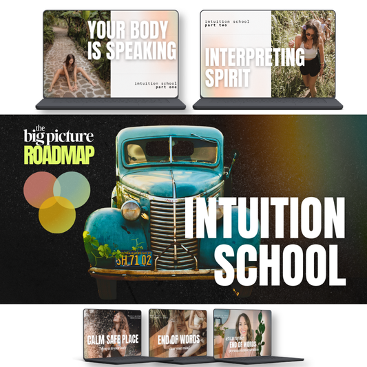intuition school